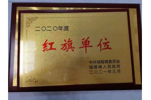 2020年度红旗单位