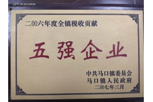 2006年度税收贡献五强企业